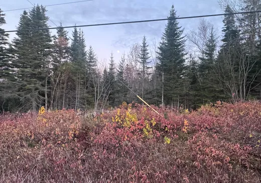 Land for Sale -  Route 132 E., Grosses-Roches, G0J 1K0