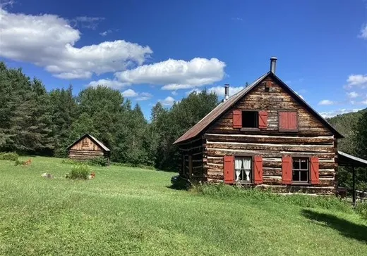 Terrain à vendre - 3691Z Ch. Lundon, Wentworth, J0T 1Y0