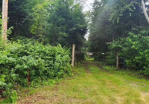 Terrain à vendre - 3691Z Ch. Lundon, Wentworth, J0T 1Y0