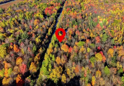 Terrain à vendre - 650 Rue Nault, St-Nicephore, J2A 3T2