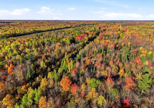 Terrain à vendre - 650 Rue Nault, St-Nicephore, J2A 3T2