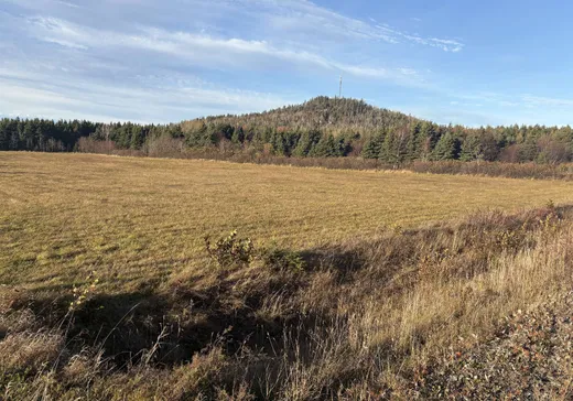Land for Sale -  Rue Notre-Dame O., Cap-Chat, G0J 1G0