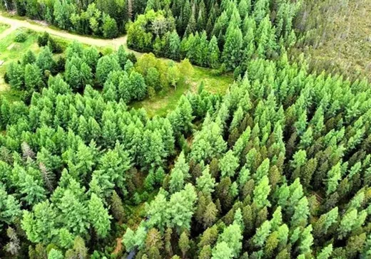 Terrain à vendre - 14 Ch. des Mélèzes, L'Ascension, J0T1W0