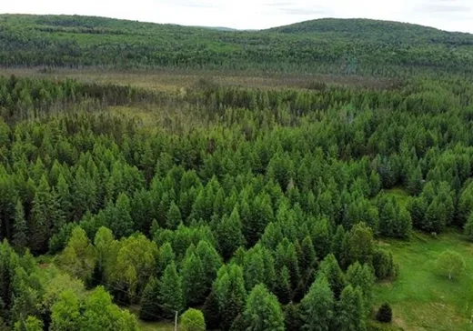 Land for Sale - 14 Ch. des Mélèzes, L'Ascension, J0T 1W0