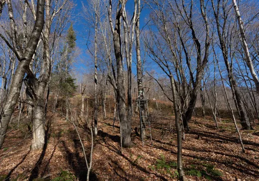 Land for Sale -  Ch. du Tour-du-Lac-David S., Mont-Laurier, J0W 1H0