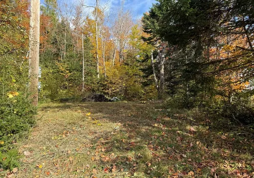 Land for Sale - 107 Ch. du Malard, Notre-Dame-Des-Boies, J0B 2E0