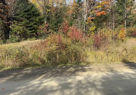 Land for Sale - 107 Ch. du Malard, Notre-Dame-Des-Boies, J0B 2E0