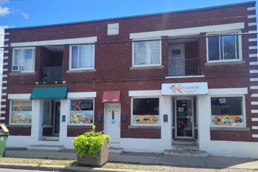 4-Plex à vendre - 246-250 Rue des Érables, Lachine, H8R1B6