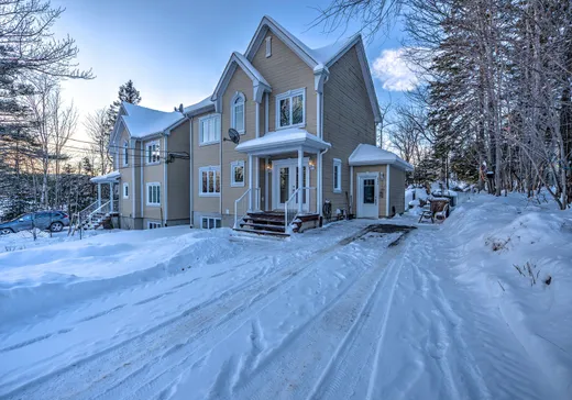 Duplex à vendre - 2551-2553 Rue Léo-Piché, Val David, J0T2N0