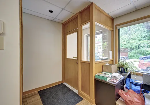 Duplex for Sale - 8350-8352 Rue de Marseille, Montreal (Mercier/Hochelaga-Maisonneuve), H1L 1P7