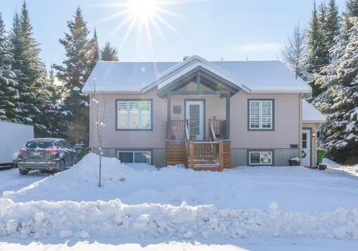 Duplex for sale - 1385-1387 Rue des Capucines, Mont-Tremblant, J0T1M0