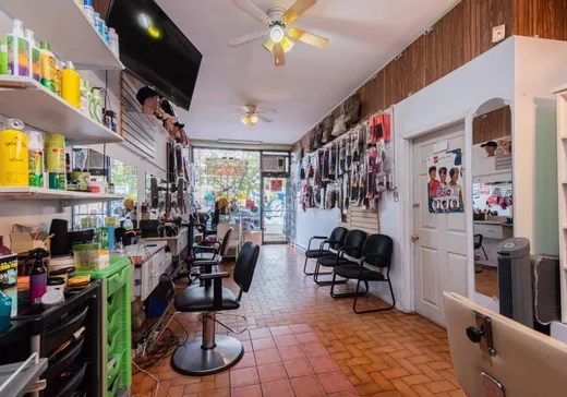 4-Plex for Sale - 9060 Boul. St-Michel (9060-9066), Montreal (Villeray), H1Z 3G5