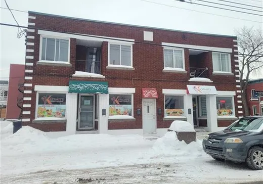 4-Plex à vendre - 246A-250A Rue des Érables, Montréal (Lachine), H8R 1B6