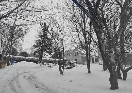 Duplex for Sale - 1272-1274 Rue Merry N., Magog, J1X 2G9