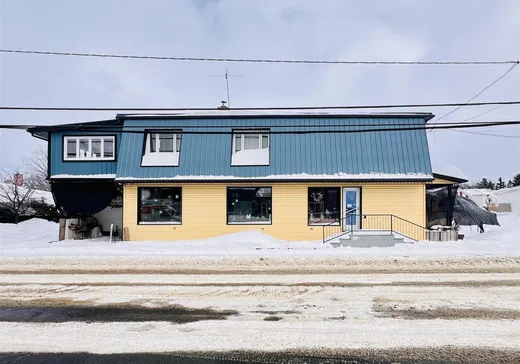 Duplex à vendre - 152-154 Rue St-Jacques O., Plessisville, G6L4Y6