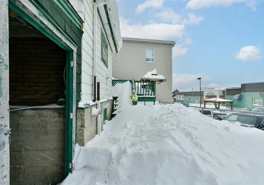 Triplex à vendre - 119-123 Rue St-Georges, Windsor, J1S 1J7