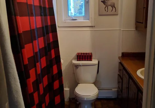 Duplex à vendre - 41-43 Rue Notre-Dame, Baie-Saint-Paul, G3Z 2J1