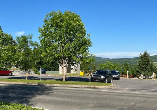 Duplex à vendre - 3380 Av. Royale, St-Ferreol-les-Neiges, G0A 3R0