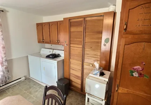 Duplex à vendre - 21-21A Rue St-Paul, Victoriaville, G6P 3J2