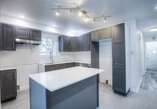 Duplex for Sale - 5534-5536 Rue Pierre-Tétreault, Montreal (Mercier/Hochelaga-Maisonneuve), H1K 4M3