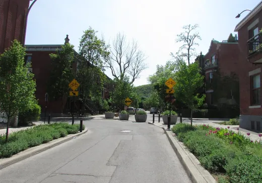 Duplex for Sale - 25-27 Rue Bagg, Montreal (Plateau-Mont-Royal), H2W 1J9