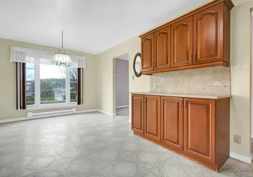 Triplex for Sale - 623-627 Rue Beaulne, Sainte-Agathe-des-Monts, J8C 2Y2