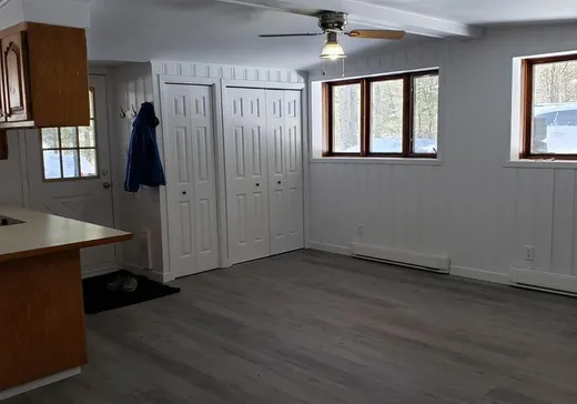 Duplex à vendre - 106-108 Ch. Brisson, St-Adolphe d'Howard, J0T 2B0