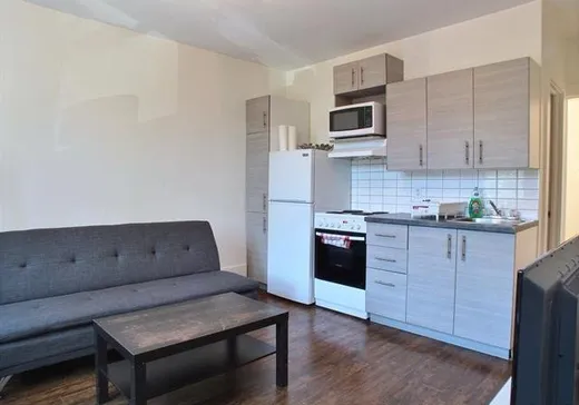 5-Plex for Sale - 1299-1303 Rue de la Visitation, Ville-Marie, H2L 3B6
