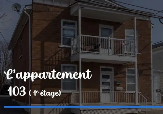 Duplex à vendre - 103-105 Av. des Cascades, Beauport, G1E 2L2
