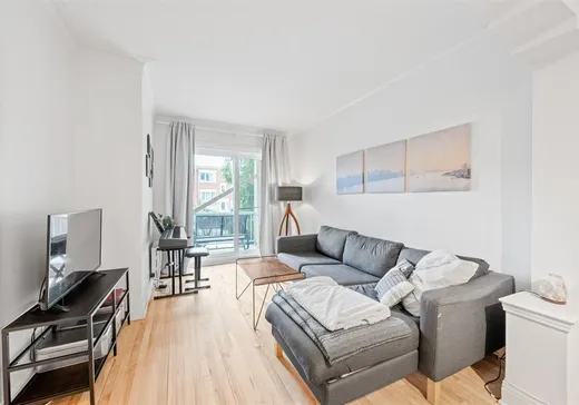 Triplex à vendre - 2546-2548 Boul. Lapointe, Montréal (Mercier/Hochelaga-Maisonneuve), H1L 5L7