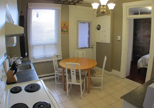 4-Plex for Sale - 0815-0821 Rue Charlevoix, Pointe-St-Charles (Montreal Island), H3K 2Y5