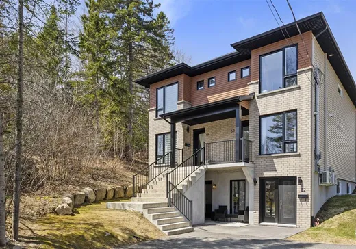 Triplex for sale - 48-52 Rue St-Jacques, Sainte-Agathe-des-Monts, J8C3P1