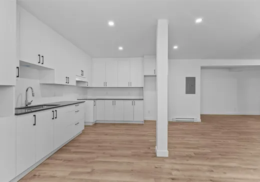 Triplex à vendre - 93-95 Rue du Curé-LaRocque, Sherbrooke, J1C 0T2