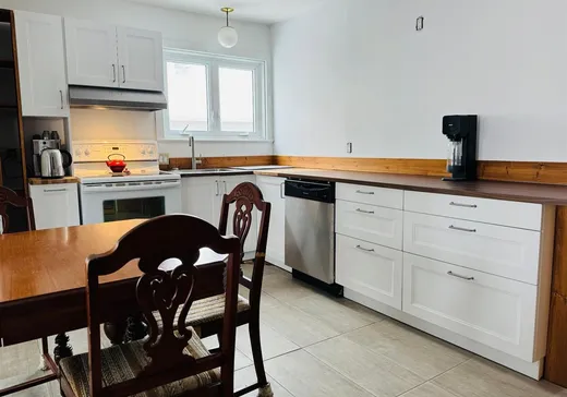 Duplex for Sale - 420-422 Rue Bran, Saint-Jérôme, J7Z 2C7