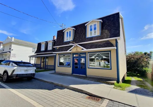 Triplex for sale - 104-106 Rue Joly, Rivière-du-Loup, G5R3H6