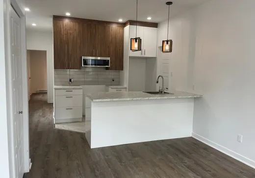 5-Plex for Sale - 195-199 12e Avenue, Richelieu, J3L 3S9