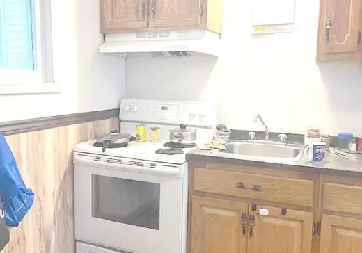 Duplex for Sale - 224-226 Av. de la Gare, Montmagny, G5V 2T7