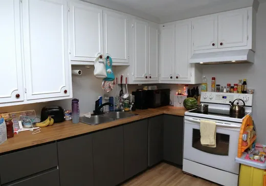 Duplex for Sale - 20-20A Rue de l'Aqueduc, Victoriaville, G6P 1L6