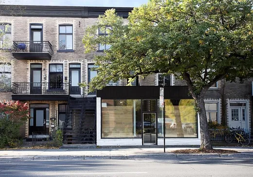 Triplex for Sale - 4448A-4454A Av. Papineau, Montreal (Downtown), H2H 1T8