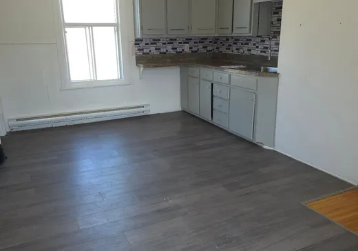 Duplex for Sale - 125-127 Rue St-Pierre, Saint-Gabriel, J0K 2N0