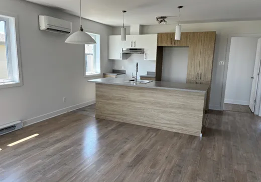 4-Plex for Sale - 91 Ch. St-Michel, Crabtree, J0K 1B0