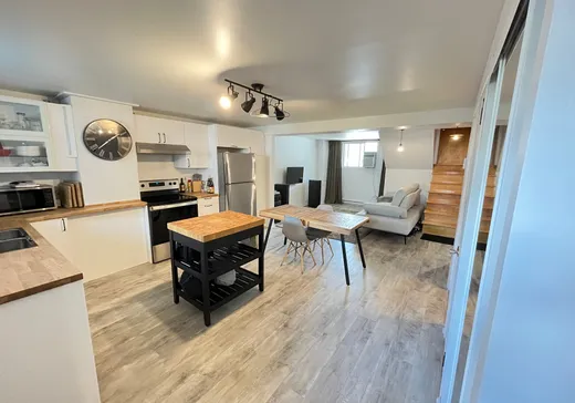 Duplex à vendre - 2525-2527 Rue De Cadillac, Montréal (Mercier/Hochelaga-Maisonneuve), H1N 2V2