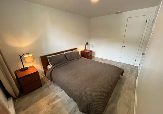 Duplex à vendre - 2525-2527 Rue De Cadillac, Montréal (Mercier/Hochelaga-Maisonneuve), H1N 2V2