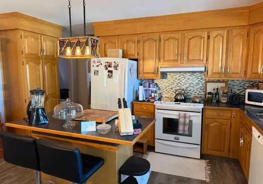 Duplex à vendre - 418-420 Rue St-Roch, Asbestos, J1T 2N2