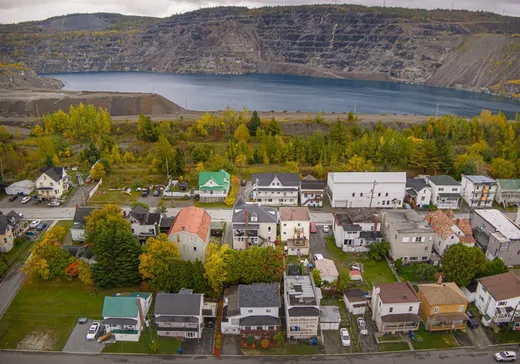 4-Plex à vendre - 4021-4027 Rue du Lac-Noir, Black-Lake, G6H 1T1