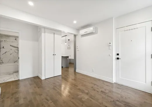 Triplex à vendre - 1605-1609 Av. Jeanne-d'Arc, Montréal (Mercier/Hochelaga-Maisonneuve), H1W 3T6