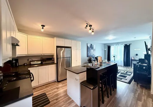 Duplex for Sale - 2261-2263 Rue St-Charles-Borromée, Nominingue, J0W 1R0