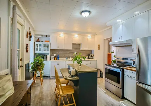 Duplex à vendre - 121-123 Rue St-Louis, Victoriaville, G6P 3P7