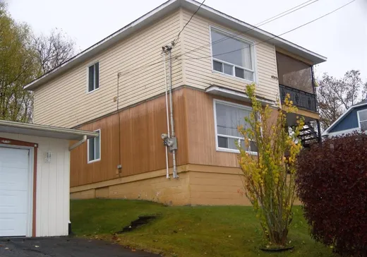 Duplex à vendre - 4086-4088 Rue St-André, Black-Lake, G6H 1V5