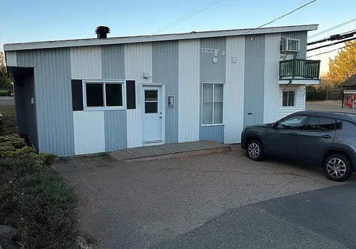 Triplex à vendre - 102-106 Rue Notre-Dame, St-Alexis-Des-Monts, J0K 1V0